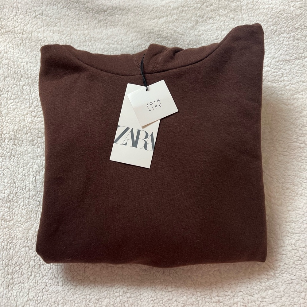 ZARA Brown Crop Hoodie